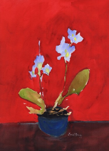 Orchid with Red Background 1.5