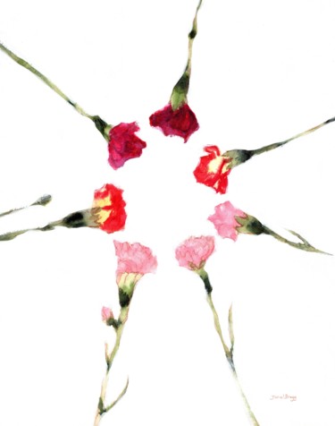 Circular Carnations 1.5