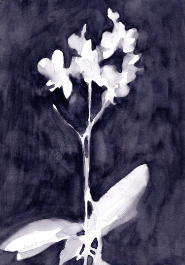 Orchid Impression in Dark Blue Gray