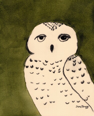 Owl on Evergreen Background II