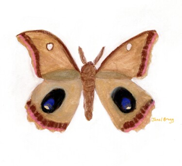 Moth Endearment II